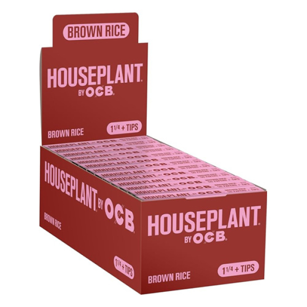 HOUSEPLANT OCB RICE PAPERS 24CT