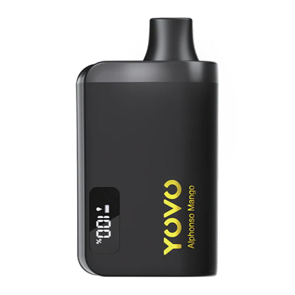 YOVO JB8000 BLACK GOLDEN DISP 5PC