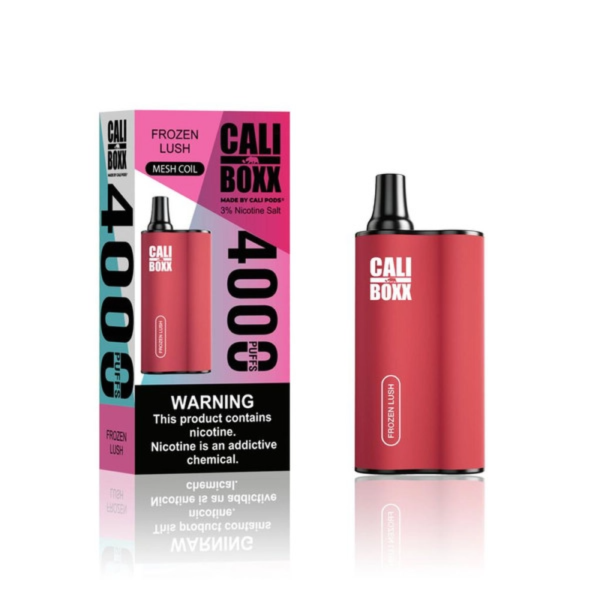 CALI BOXX DISPOSABLE 3% 4000 PUFFS 6PK