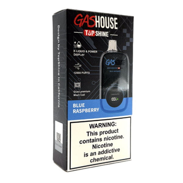 GASHOUSE DISPOSABLES 12K PUFFS 10CT