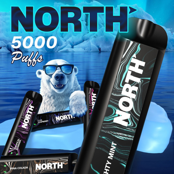 NORTH 5K DISPOSABLE 10PC