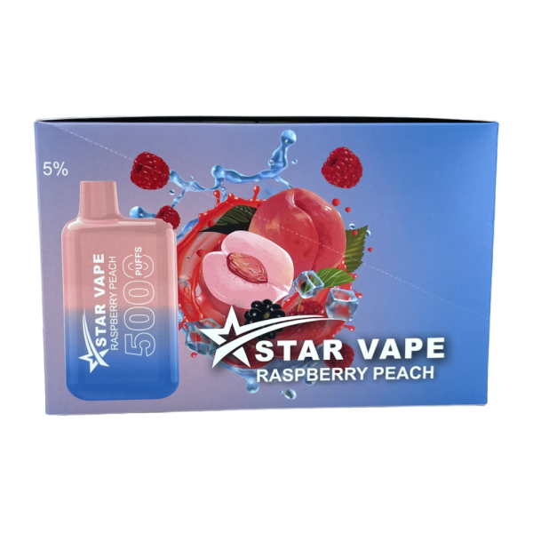 STAR VAPE DISPOSABLE 5000 PUFFS 10CT