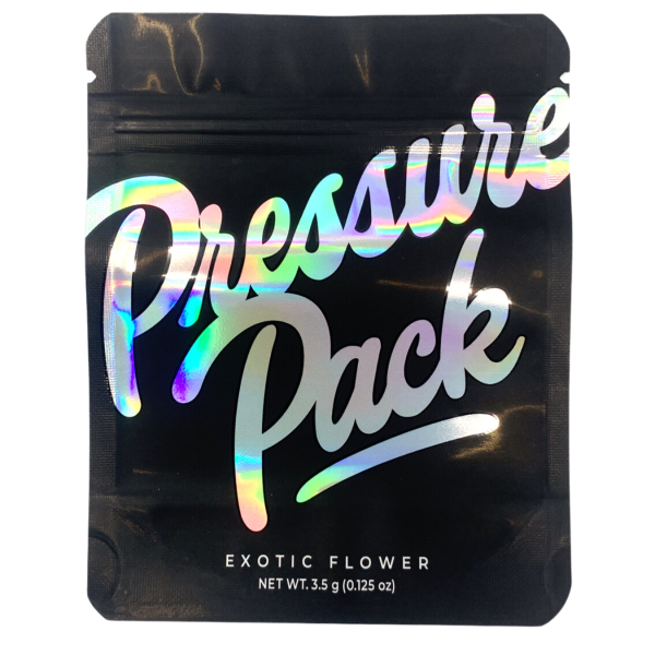 SMOKE PROOF BAGS 100CT - PRESSURE PACK